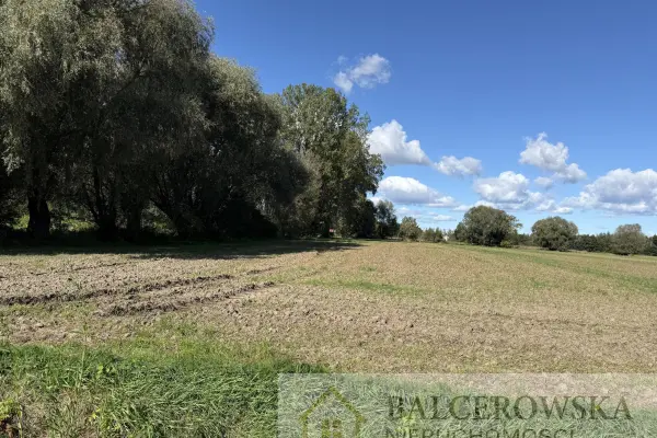 Piaskowiec, Ostaszewo, Działka na sprzedaż